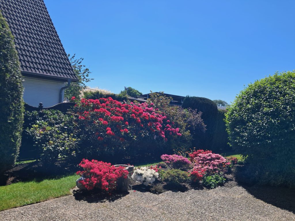 Topp-gepflegter Bungalow in guter Stadtrandlage 14 PHOTO 2024 10 27 14 34 50